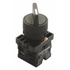 Переключатель NP2-ED25 2 положения фиксацией 1НО+1НЗ IP40 574100